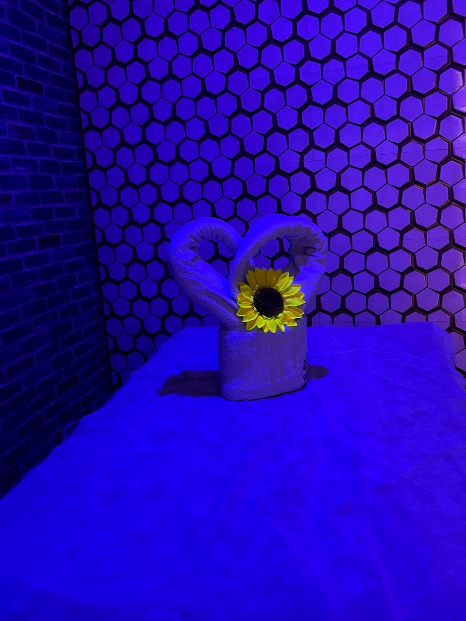 SPA STATION Gallery Image